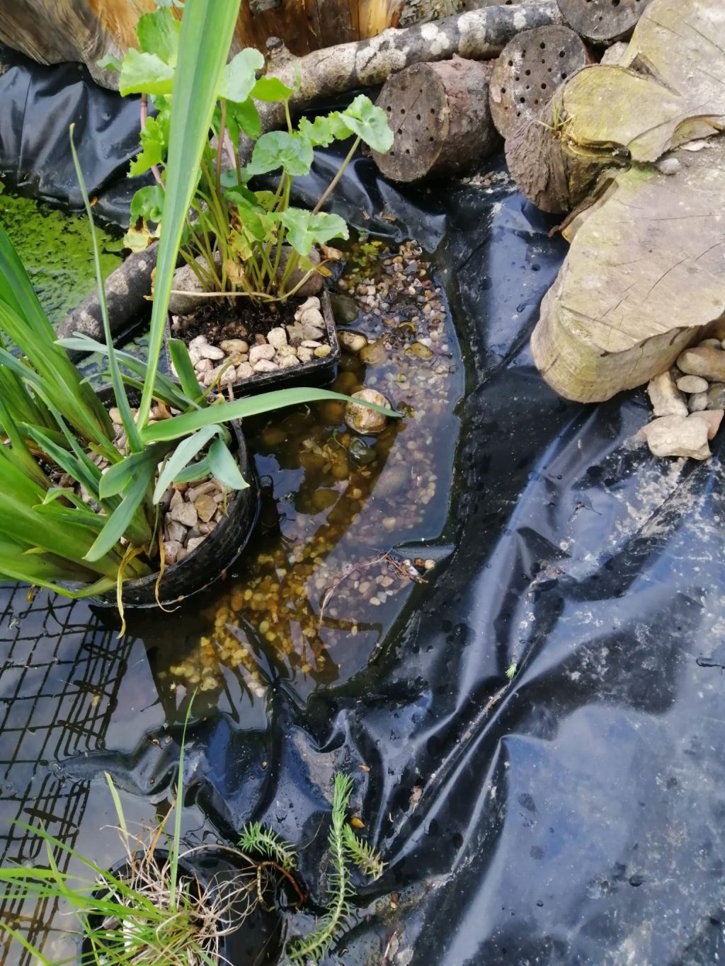 Add edging of pebbles and wood