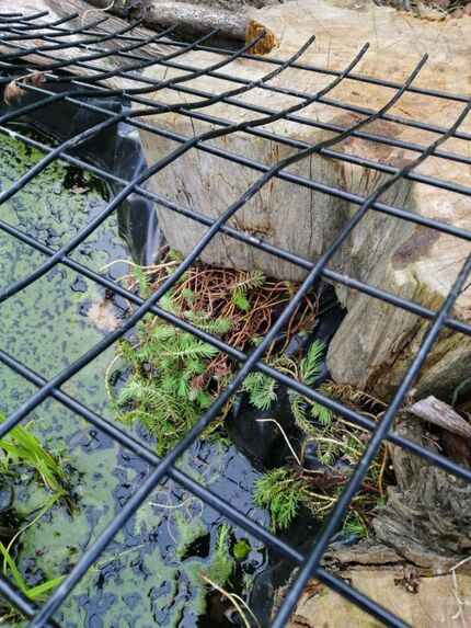 The essential safety netting
