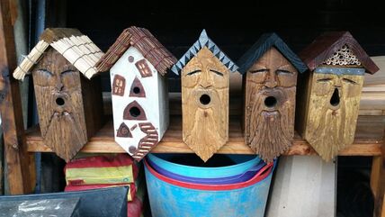 Attractive Bird boxes designed for different species 